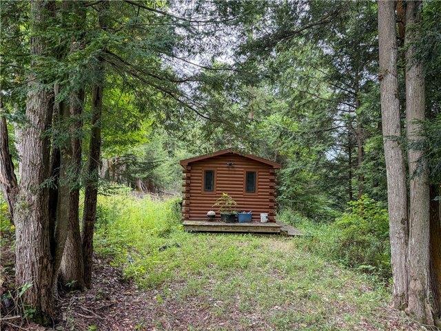 Land for sale in Houghton, Town of Caneadea