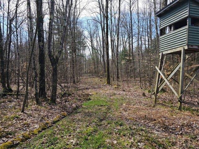 Land for sale in Greene