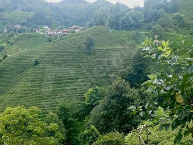 Pazar, Rize içerisinde satılık Arsa