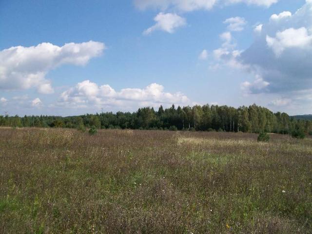 Grunt na sprzedaż w Wręczyca Wielka, Śląskie