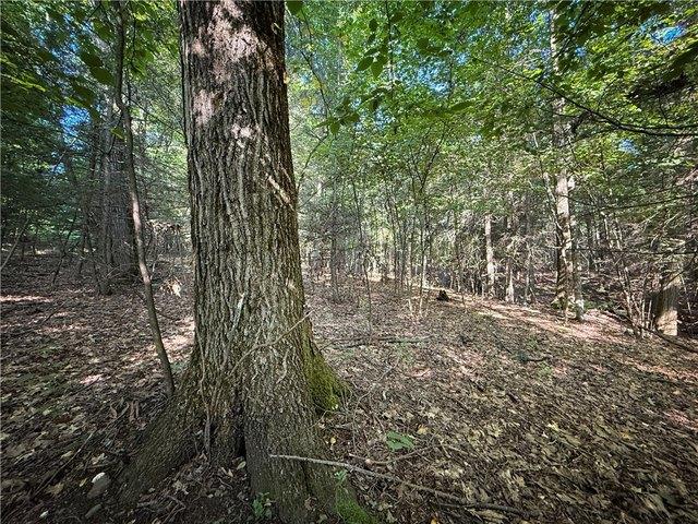Land for sale in Candor, New York