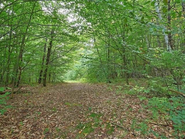 Land for sale in Plantsville, Vermont