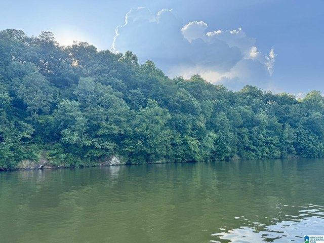 Land for sale in Wedowee, Alabama