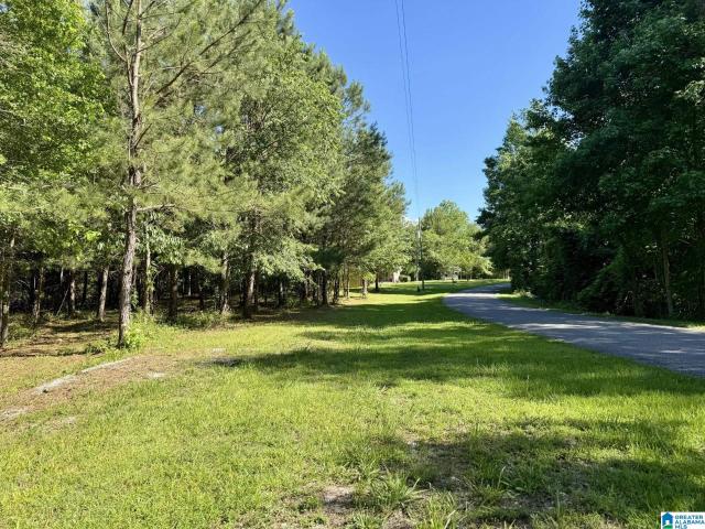Land for sale in Wedowee, Alabama
