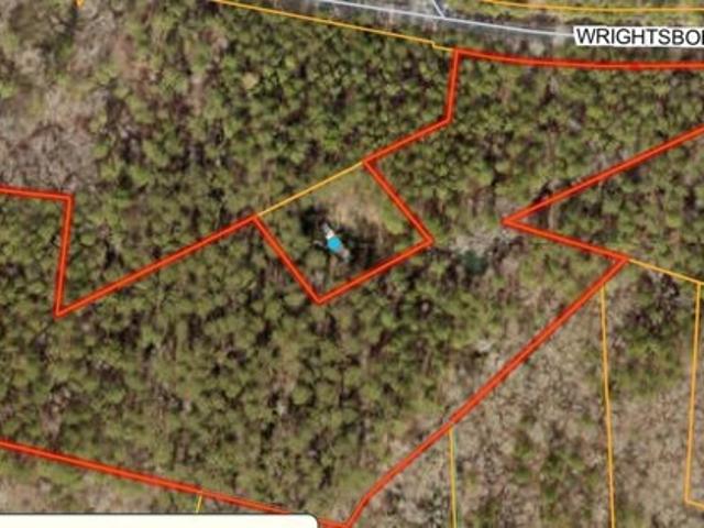 Land for sale in Harlem