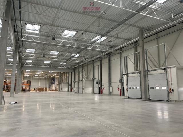 Komercyjne do wynajęcia w Wrocław, Dolnośląskie