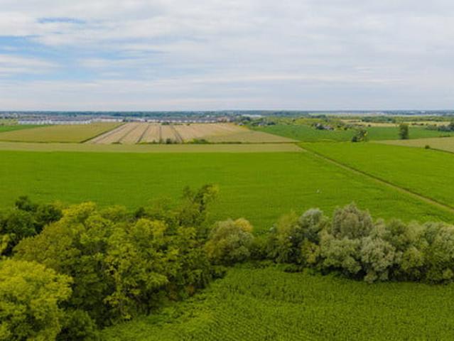 Grunt na sprzedaż w Muchobór Wielki, Wrocław