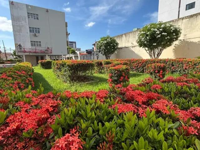 Apartamento venda em Região Geográfica Imediata do Recife, Região Metropolitana do Recife
