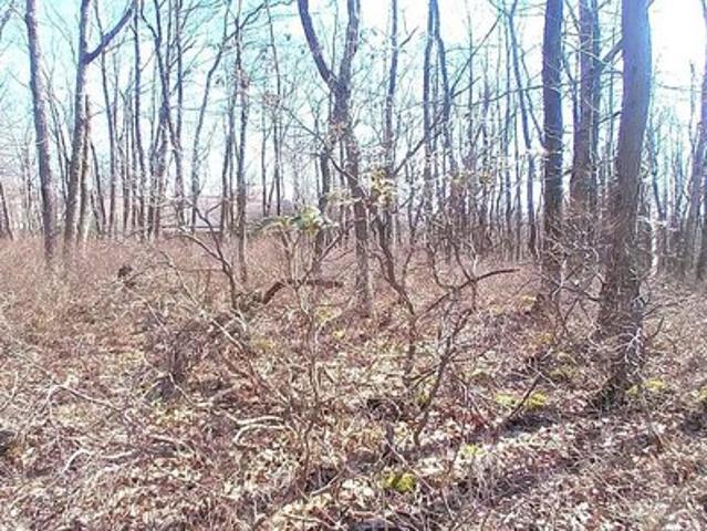 Land for sale in Hazleton, Pennsylvania