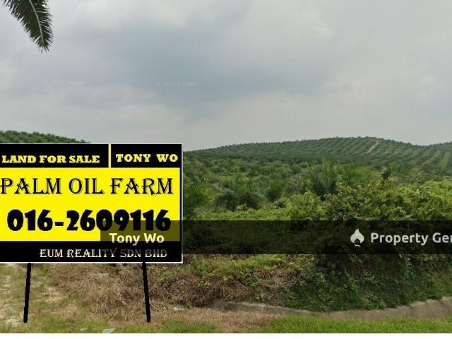 Property for sale in Bandar Baru Serting, Negeri Sembilan