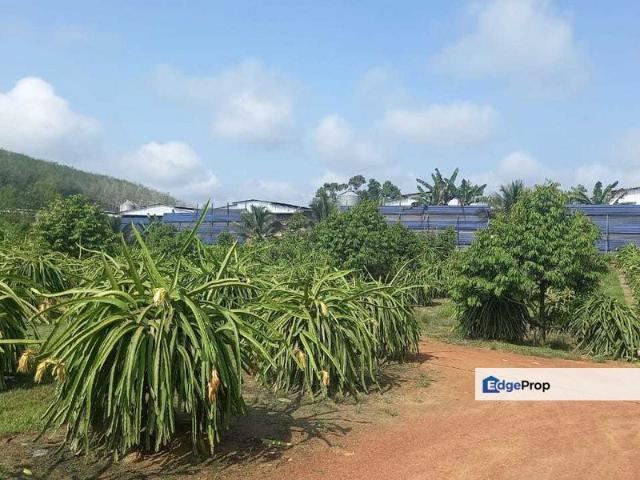 Shop for sale in Negeri Sembilan