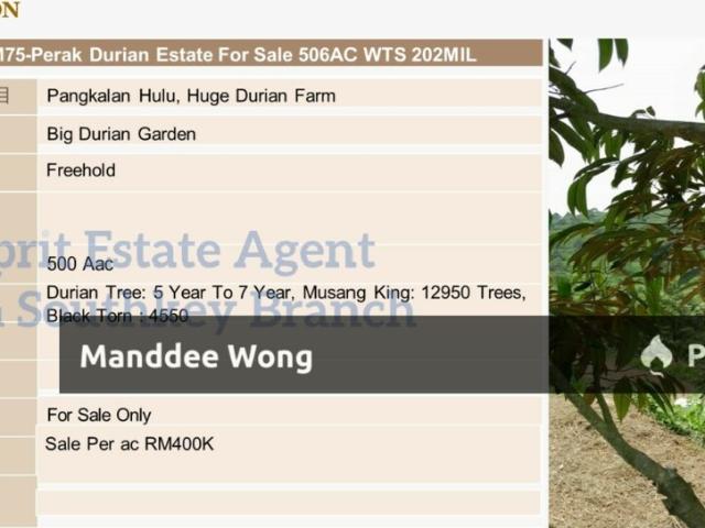 Property for sale in Perak, Ulu Perak