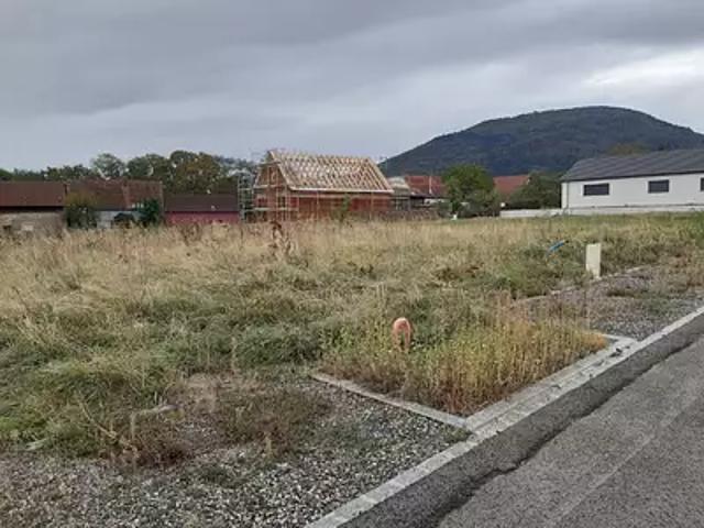 Terrain vente à Wuenheim, Collectivité européenne d'Alsace