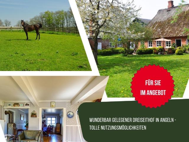 Haus kaufen in Böel, Schleswig-Holstein