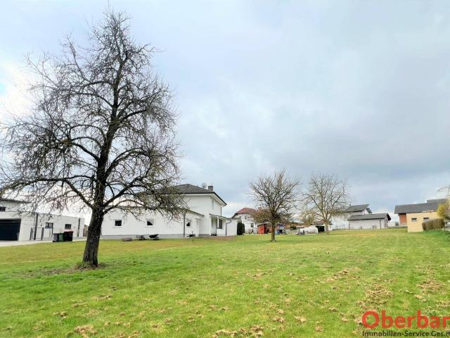 Immobilie kaufen in Desselbrunn, Oberösterreich