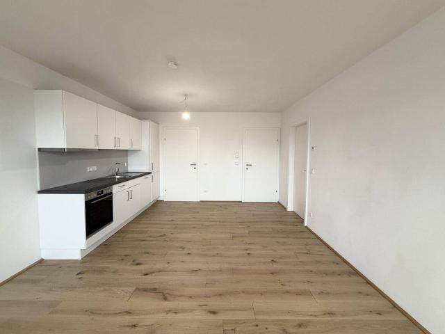 Apartment mieten in KG Breitensee, Wien