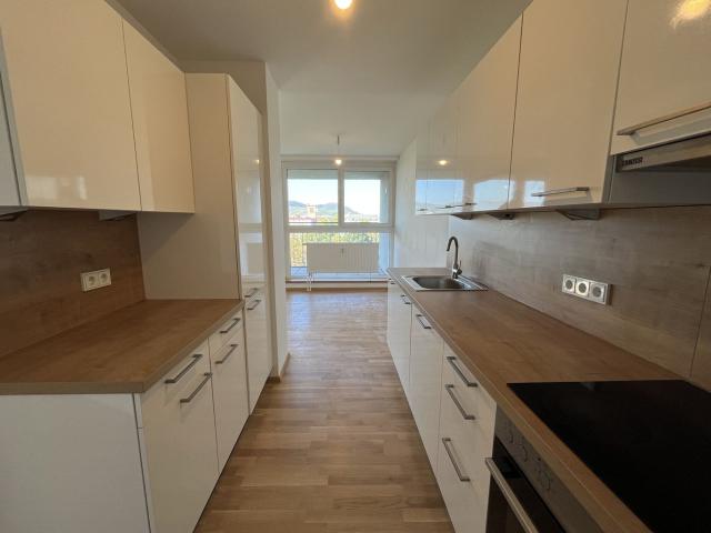 Wohnung mieten in Seestadt, Wien