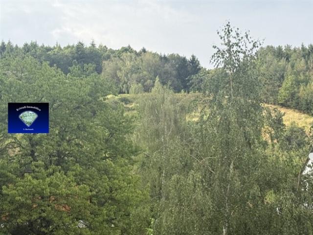Grundstück kaufen in Forchtenstein, Burgenland