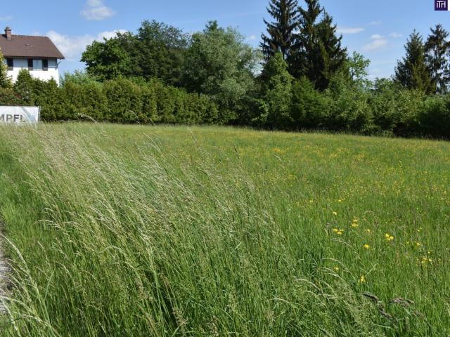Grundstück kaufen in Laßnitzhöhe, Steiermark