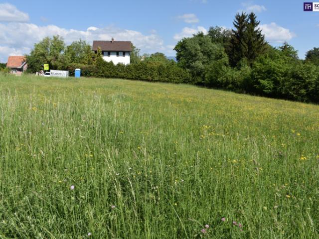 Grundstück kaufen in Kainbach, Steiermark