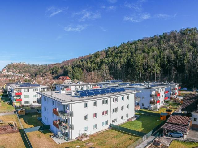 Wohnung mieten in Pitten, Niederösterreich