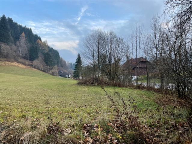 Grundstück kaufen in Afritz am See, Kärnten