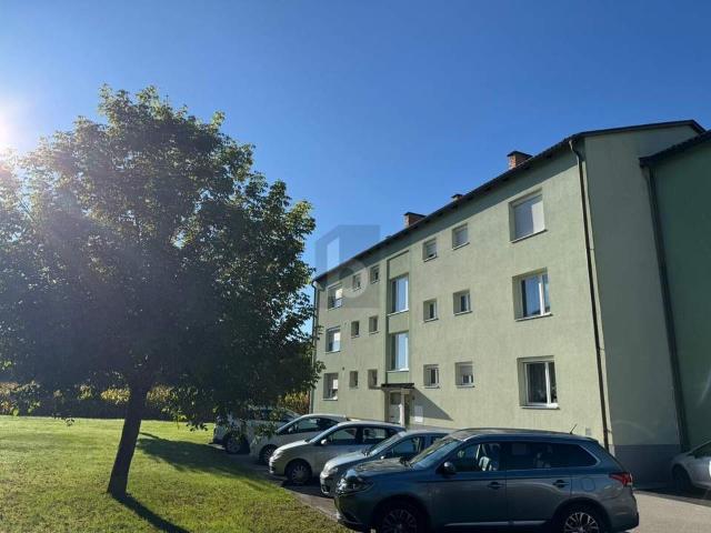 Wohnung kaufen in Völkermarkt, Kärnten