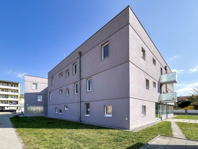 Apartment mieten in Katastralgemeinde Spillern, Spillern