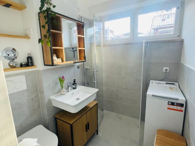 Apartment mieten in Pasing-Obermenzing, München