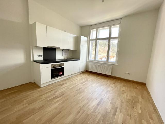 Apartment mieten in Mürzzuschlag, Steiermark