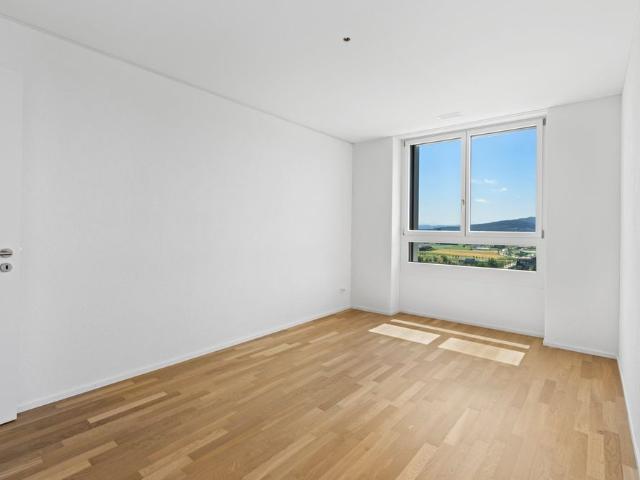 Apartment mieten in Mittlerzelg, Spreitenbach