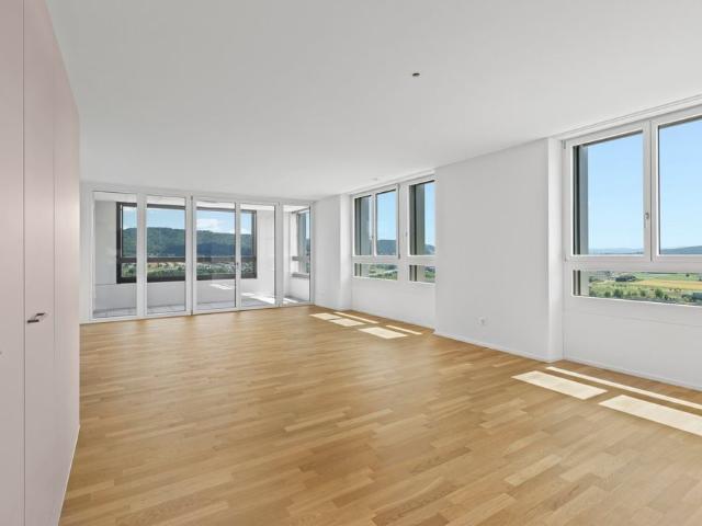 Apartment mieten in Mittlerzelg, Spreitenbach