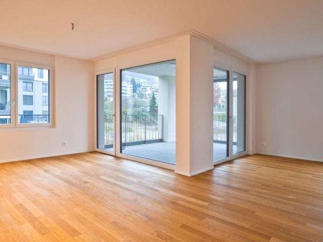 Apartment mieten in Wauwil, Lü