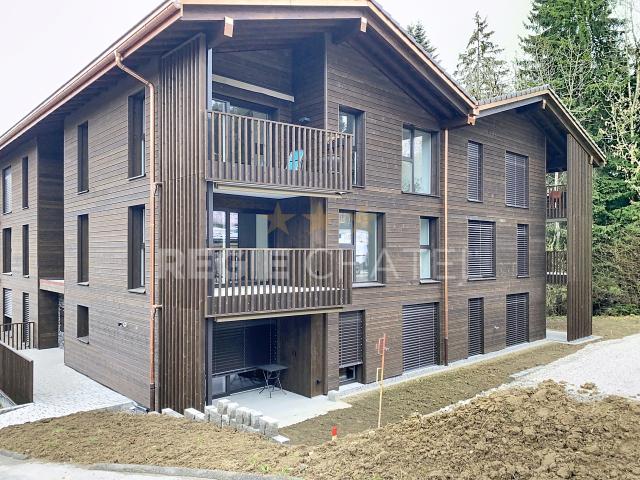 Wohnung mieten in Châtel-Saint-Denis, Freiburg