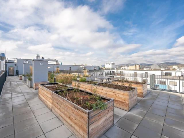 Apartment mieten in KG Brigittenau, Wien