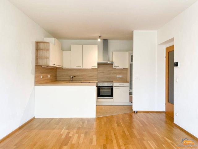 Apartment mieten in Guntramsdorf, Niederösterreich