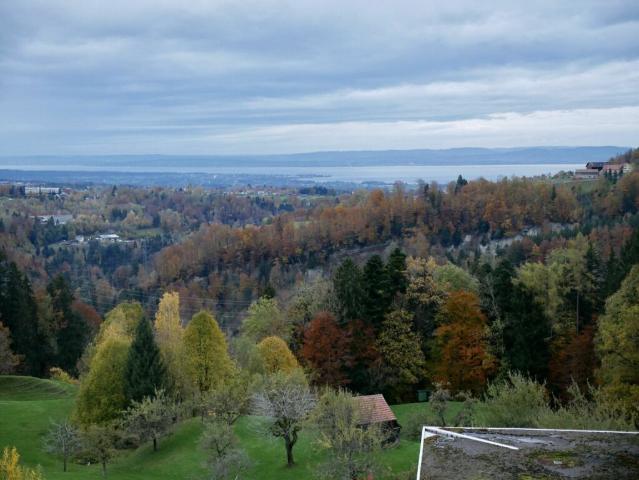 Wohnung kaufen in Speicher, Appenzell Ausserrhoden