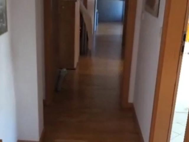 Dachgeschosswohnung mieten in Halle, Sachsen-Anhalt
