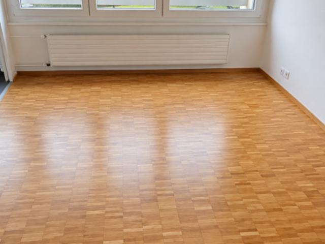 Wohnung mieten in Meyrin