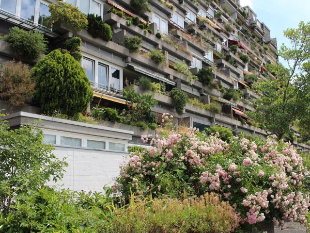 Wohnung kaufen in Ahlem-Badenstedt-Davenstedt, Hannover