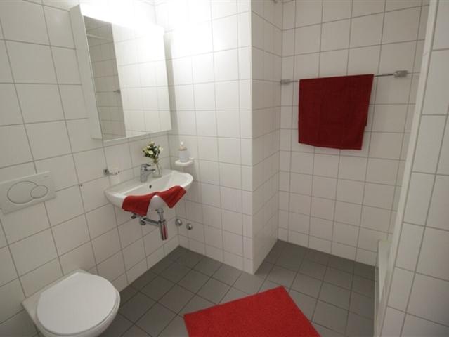 Attikawohnung mieten in St. Antoni, Freiburg