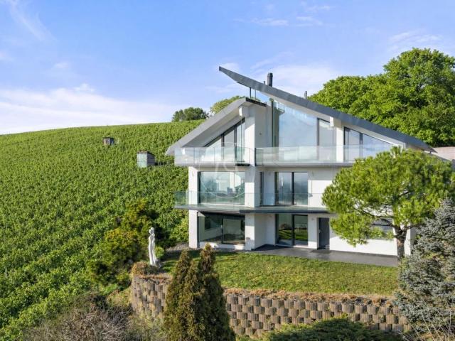 Haus kaufen in Clarmont, Waadt