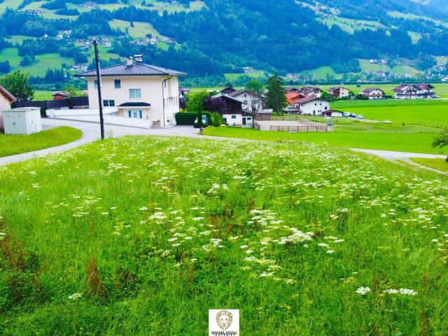 Immobilie kaufen in Stumm, Tirol
