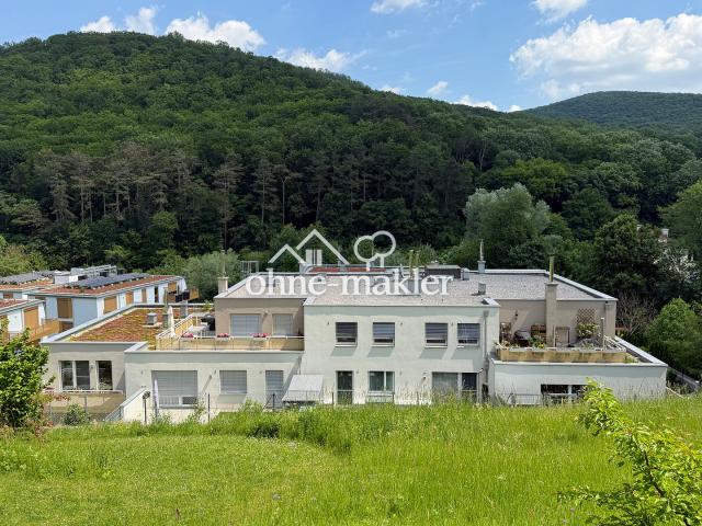 Immobilie kaufen in Purkersdorf, Niederösterreich