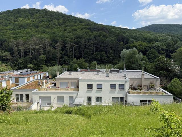 Wohnung kaufen in Purkersdorf, Niederösterreich