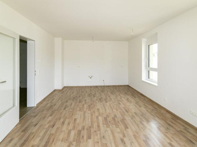 Wohnung mieten in Großstelzendorf, Göllersdorf