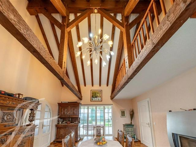 Einfamilienhaus kaufen in Borex, Waadt