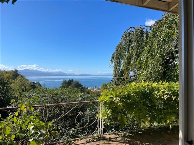 Einfamilienhaus kaufen in Paudex, Waadt