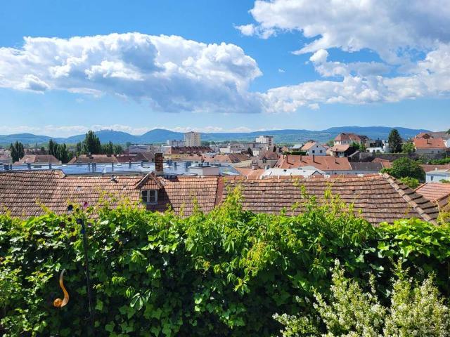 Wohnung kaufen in Krems an der Donau, Niederösterreich