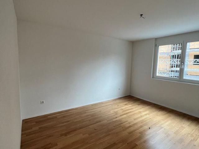 Apartment mieten in Burg AG, Menziken